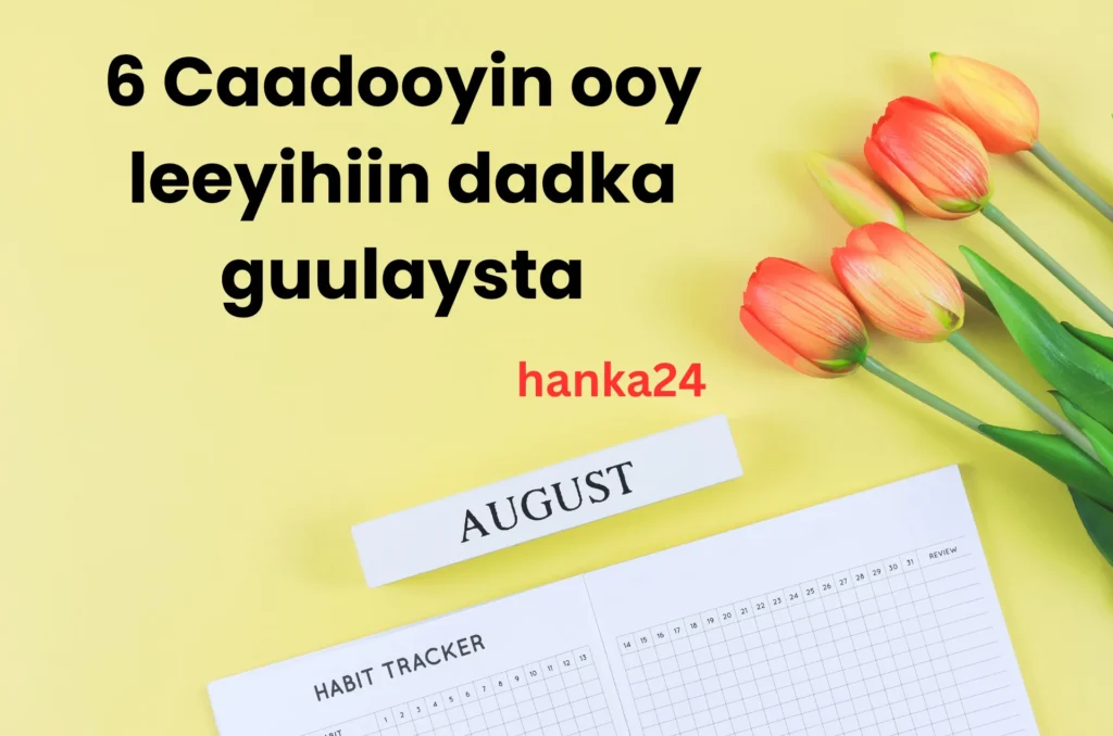 6 Caadooyin ooy leeyihiin dadka guulaysta
